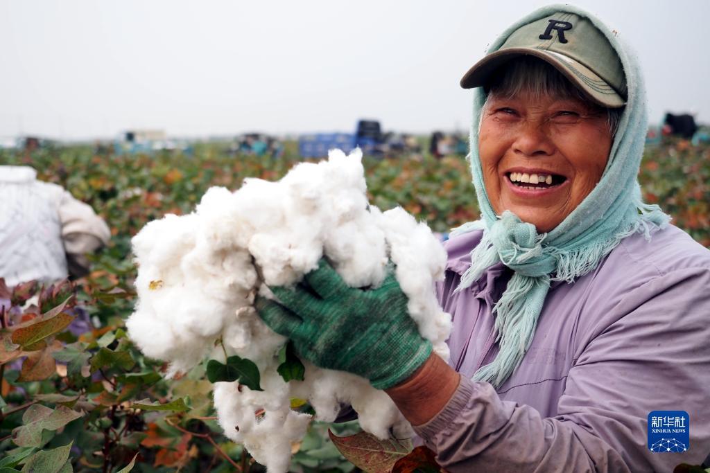 国际游戏开户
